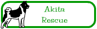 akitarescue.gif (1503 bytes)